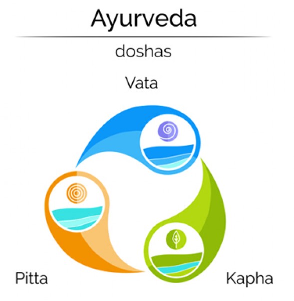 &nbsp;Why should we Know our Ayurvedic body type?To maintain optimal healthTo plan a&nbsp; &nbsp;personalized balance diet&nbsp;To plan a lifestyle according to the requirements of the&nbsp; &nbsp;bod...